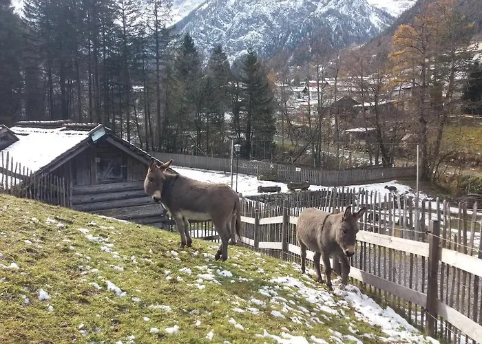 Haus Bruegga